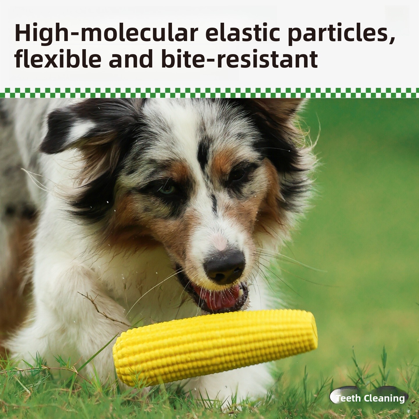 QZee Durable ETPU Corn Dog Toy - Corn Dog Stick incelemesi ve fiyatı