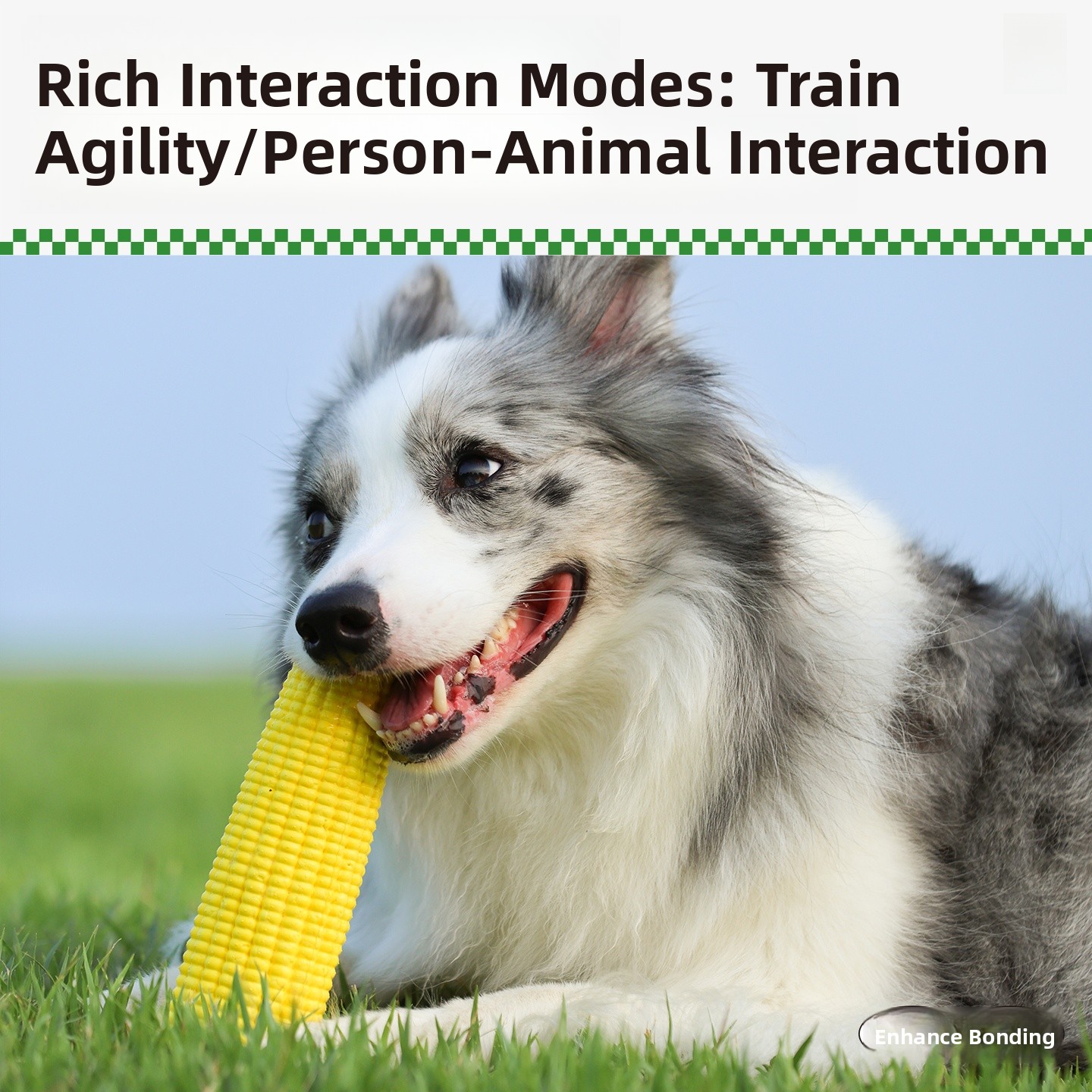 QZee Durable ETPU Corn Dog Toy - Corn Dog Stick incelemesi ve fiyatı